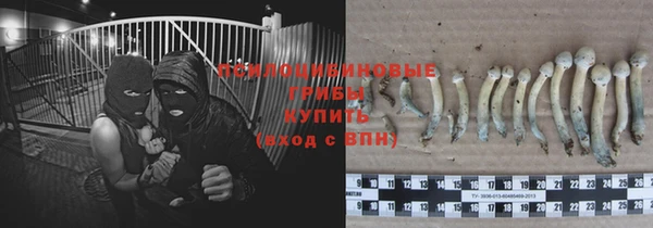 Альфа ПВП Балабаново