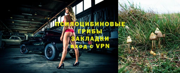 Альфа ПВП Балабаново