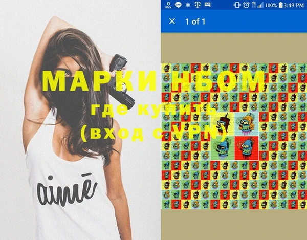 прущие грибы Снежногорск