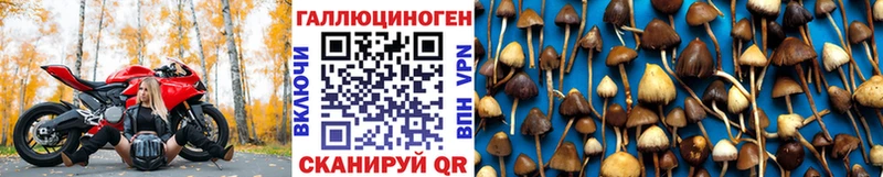 ОМГ ОМГ как войти  наркотики  Красновишерск  Галлюциногенные грибы Psilocybine cubensis 